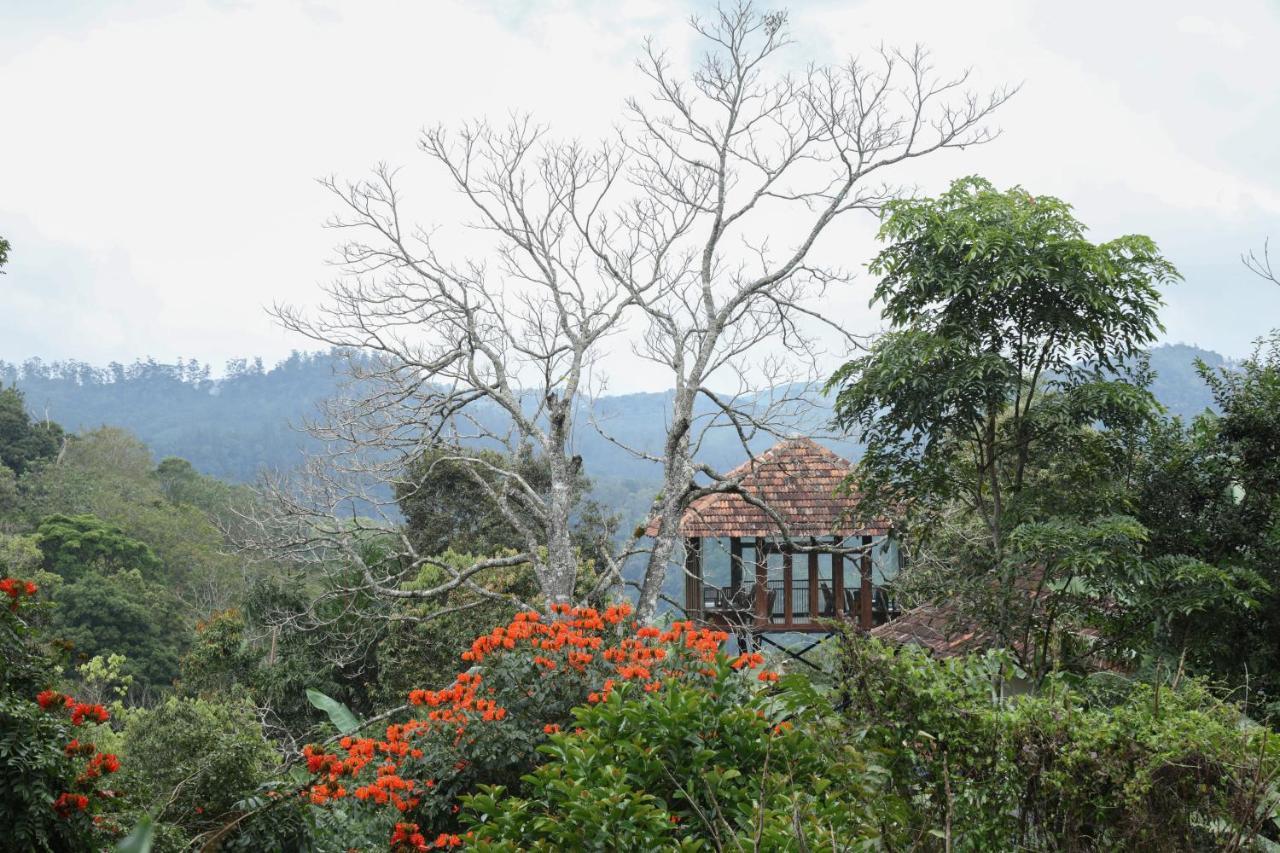Spice Forest Plantation Homestay, Thekkady Vandiperiyār Exterior foto